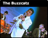 the Buzzcatz
